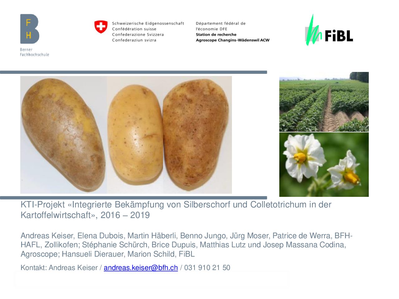 KTI-Projekt «Integrierte Bekämpfung von Silberschorf und Colletotrichum in der Kartoffelwirtschaft» 2016 – 2019