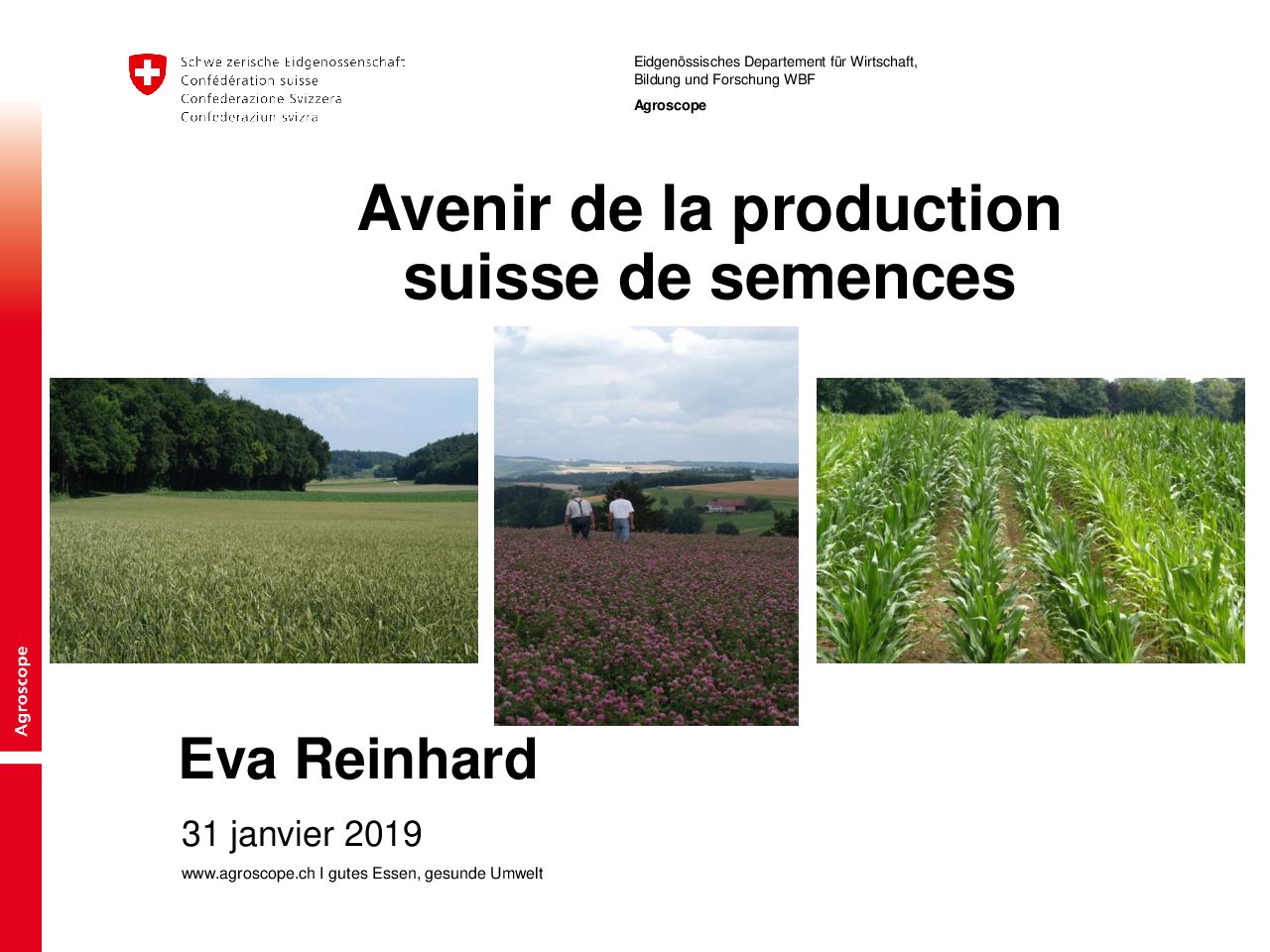 swisssem-2019-01-31_F