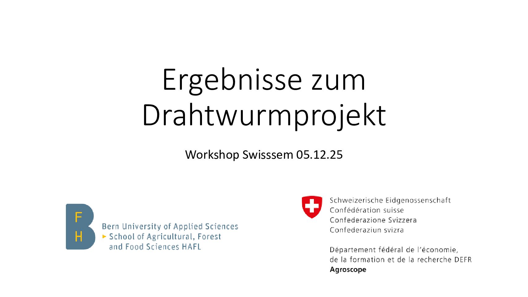 05_Swisssem_workshop_Drahtwurmprojekt_GeoffreyD